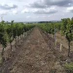Le Coeur Du Breuil Segonzac (Charente)