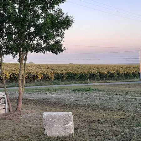 Le Coeur Du Breuil ベッド・アンド・ブレックファスト Segonzac