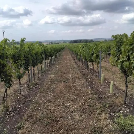 Le Coeur Du Breuil Segonzac (Charente)
